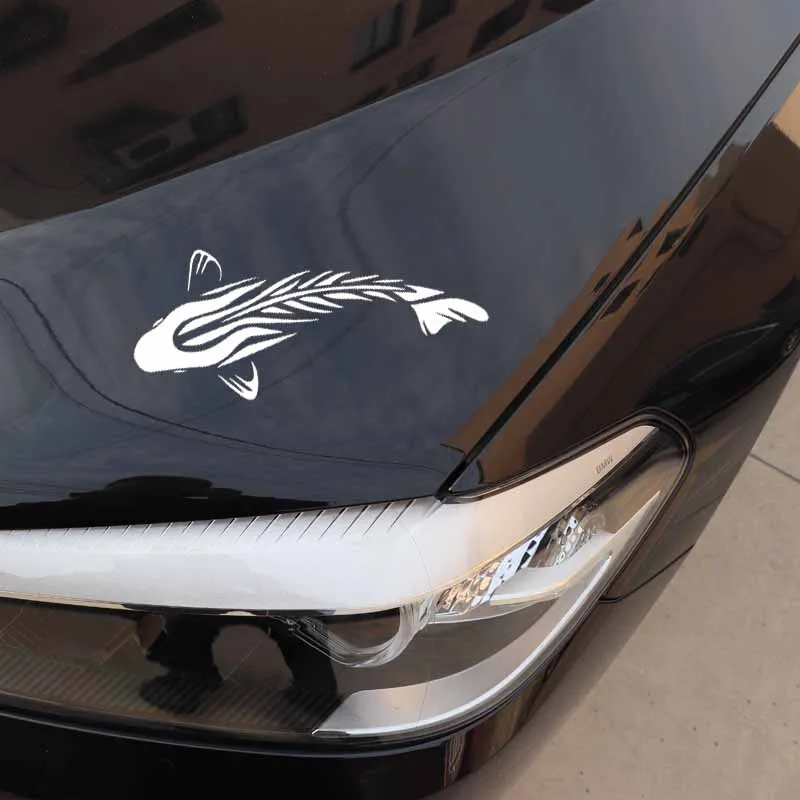 Adesivi per auto Divertimento  - Car Accessories Nz recensione e prezzo