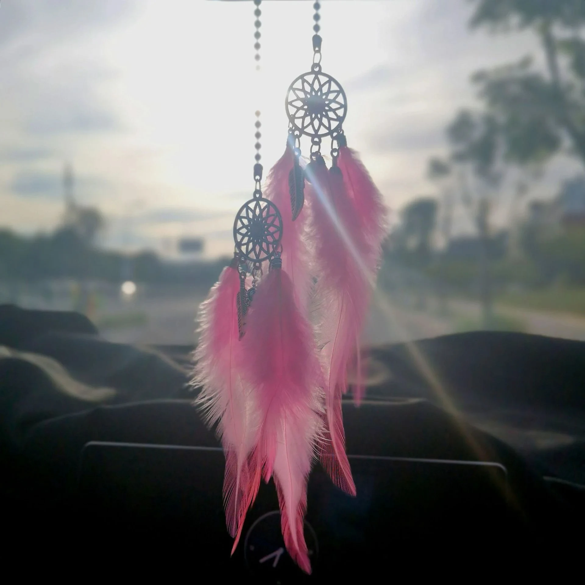 1/2 Pezzi Acchiappasogni da ap - Car Accessories Mirror Hanging recensione e prezzo