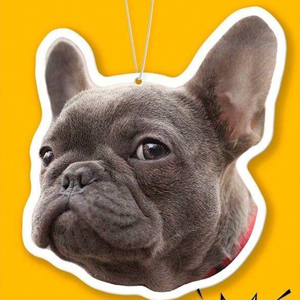 Gancio per auto personalizzato - Car Accessories Hanging recensione e prezzo